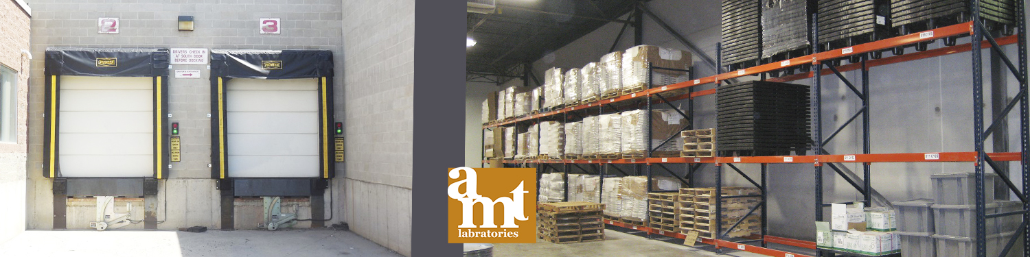 AMT Labs project