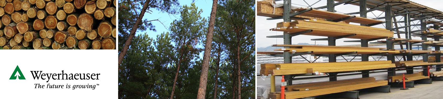 Weyerhaeuser Lumber project