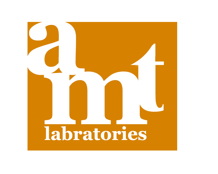 AMT Labs
